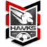 荷兰公园老鹰